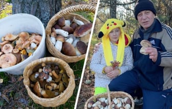 «Посмотрите, какая красотень!» — Белорусы показали, где после заморозков грибы растут «даже под носом» — Фото