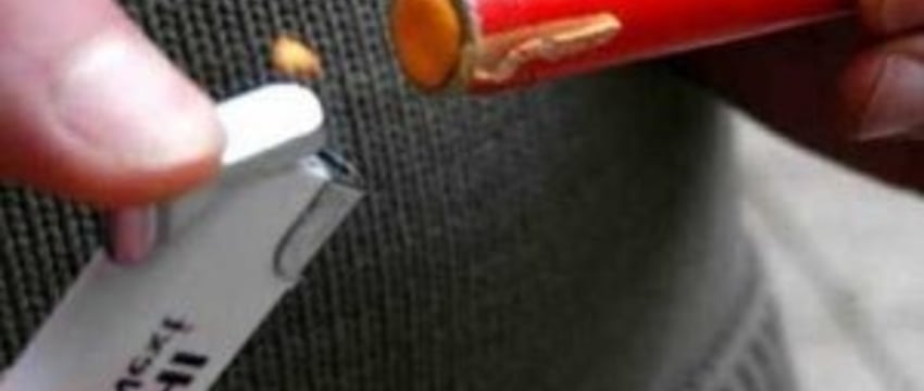 В Брестской области в новогоднюю ночь 3 человека пострадали от пиротехнических травм