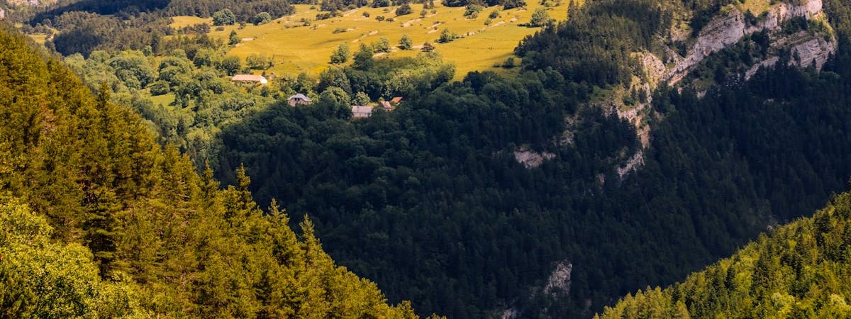 Первые запреты и ограничения на посещение лесов начали вводить в Беларуси