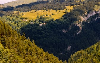 Первые запреты и ограничения на посещение лесов начали вводить в Беларуси