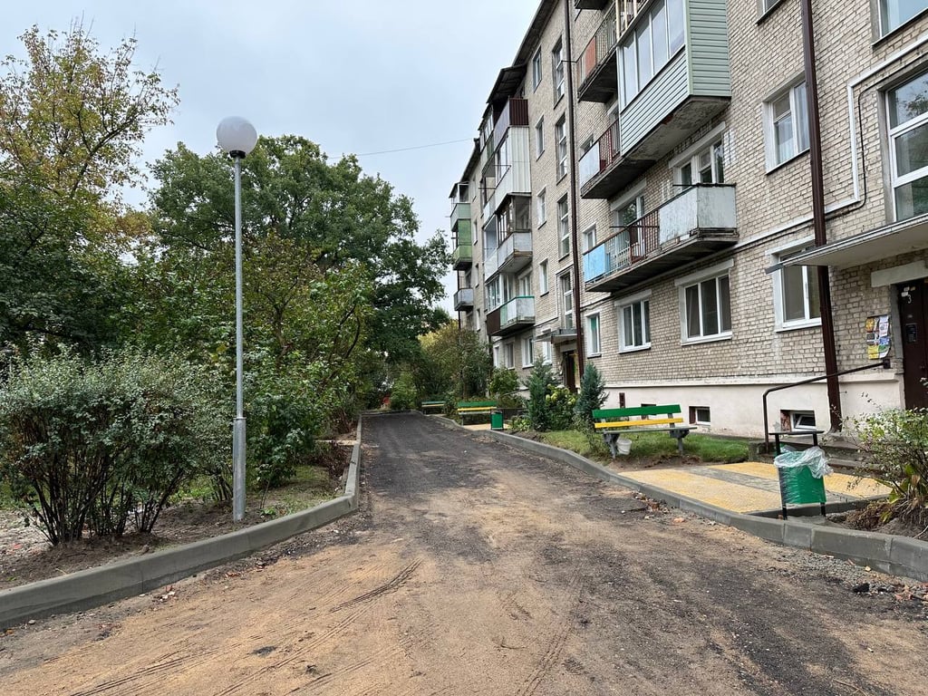 Брест становится зеленее: более 24 тысяч деревьев к концу 2024 года