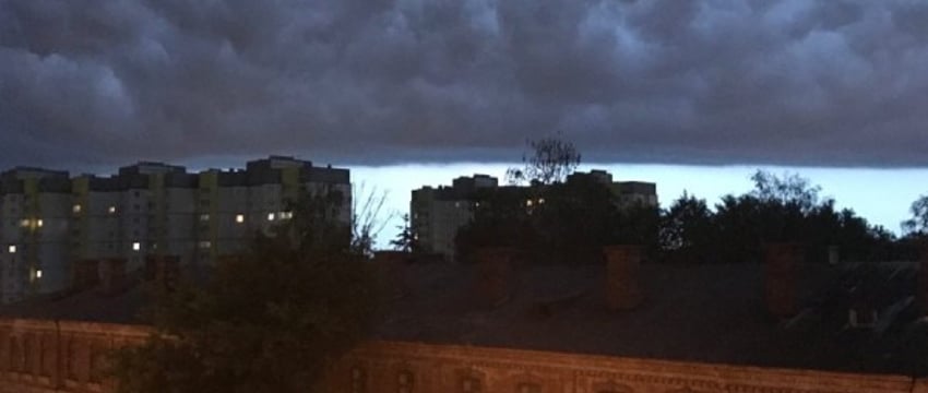 Сильный ветер: в Бресте и области 2 ноября объявлен оранжевый уровень опасности