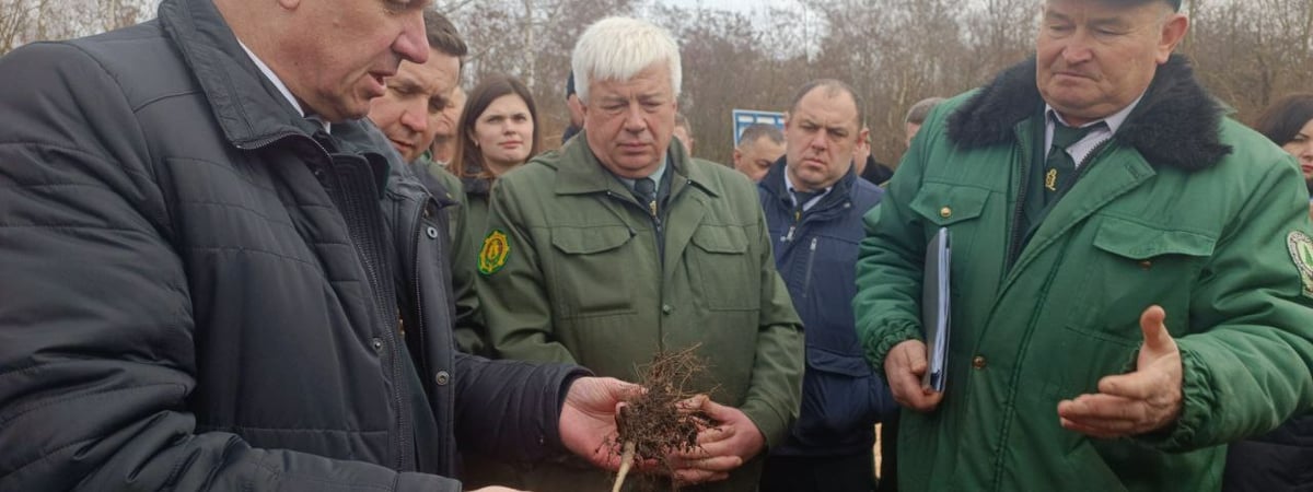 «Должны быть в интернете» — В Минсельхозе потребовали больше новостей про белорусских лесников