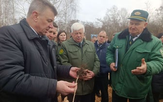 «Должны быть в интернете» — В Минсельхозе потребовали больше новостей про белорусских лесников