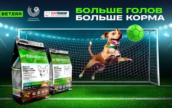 За каждый гол 2 кг корма. Акция помощи бездомным животным проходит в Беларуси