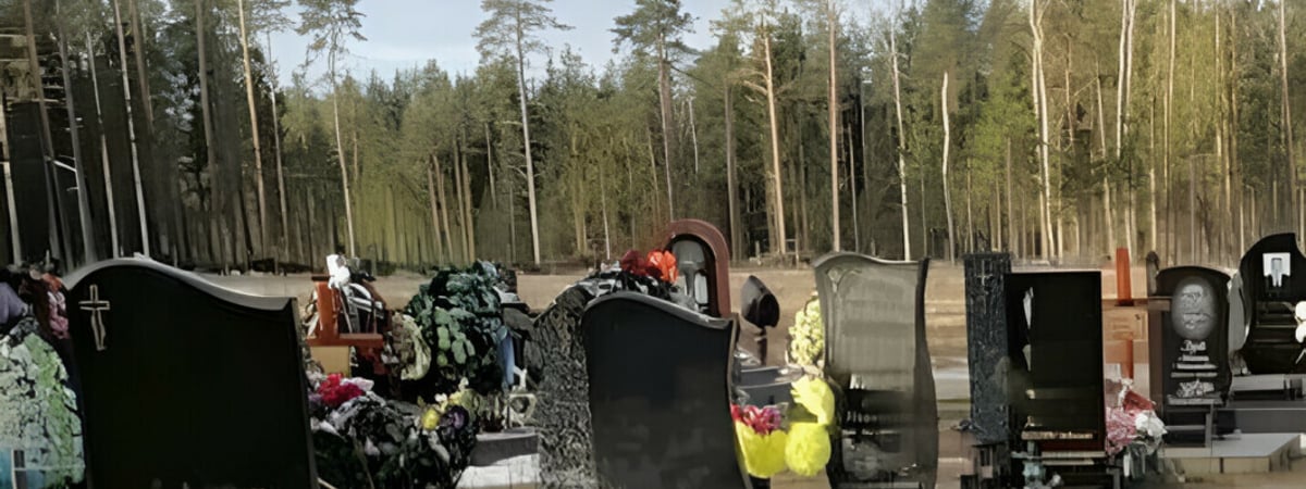 Мэр Барановичей объяснил ситуацию с подтопленным кладбищем «законами физики» и показал свежие фото «для особо недоверчивых» — Фото