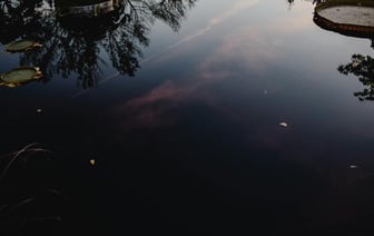 Надвигается ураган “Хельга”