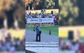 В Вильнюсе устроили забег корги. Но все пошло не так — Видео