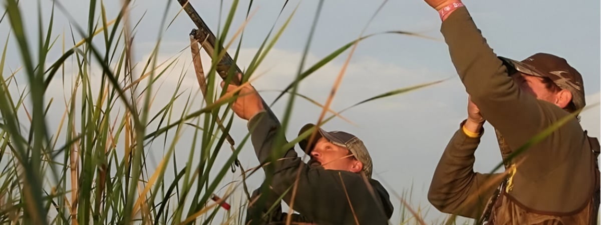 В Беларуси стартовал сезон охоты на гусей. За какой вид грозит штраф в 1200 рублей? — Фото