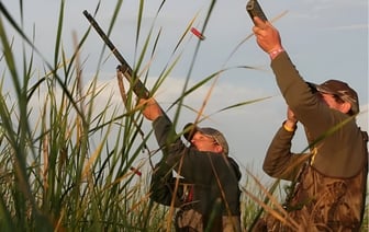 В Беларуси стартовал сезон охоты на гусей. За какой вид грозит штраф в 1200 рублей? — Фото