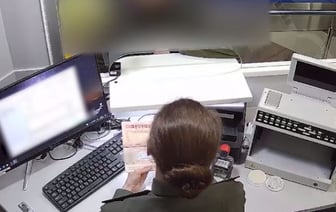 Попытка улететь с чужим паспортом: задержание в Беларуси