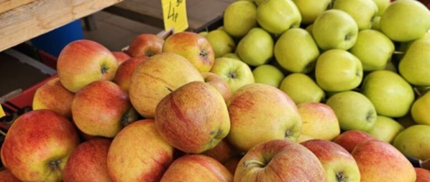 Исключения из уплаты налога за продажу овощей и фруктов
