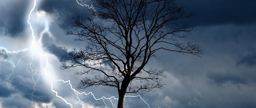 Сильный штормовой ветер с грозами ожидается в Витебске и области. Оранжевый уровень опасности