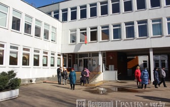 Как найти свой участок для голосования — в Беларуси запустили новый сервис