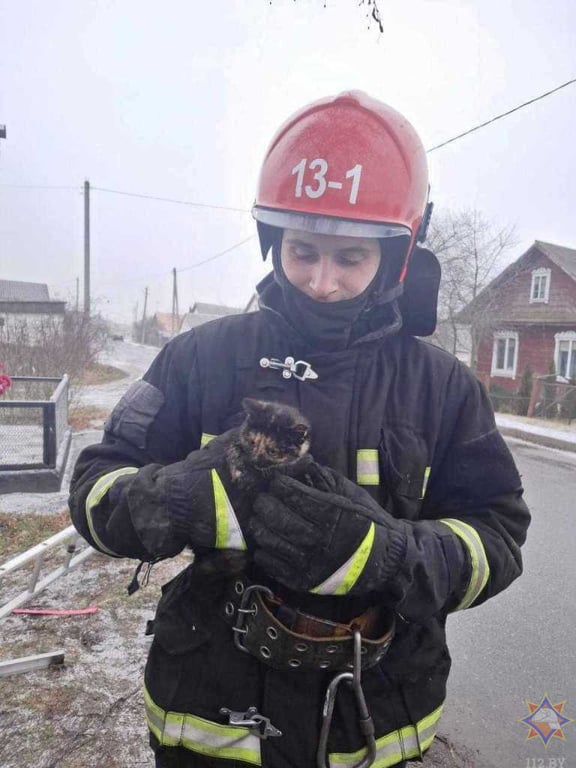 В Ляховичах в заброшенном колодце котенка — видео спасения