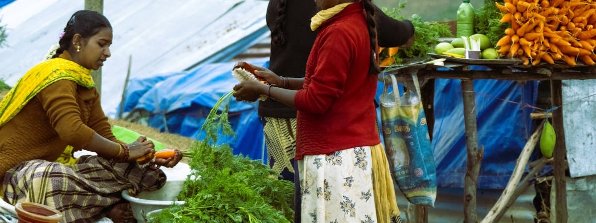 МАРТ рекомендует сократить использование иностранных слов и аббревиатур на вывесках