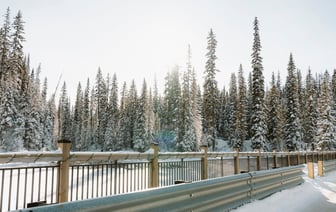 В Грузии начинает действовать "таможенный безвиз" с ЕС