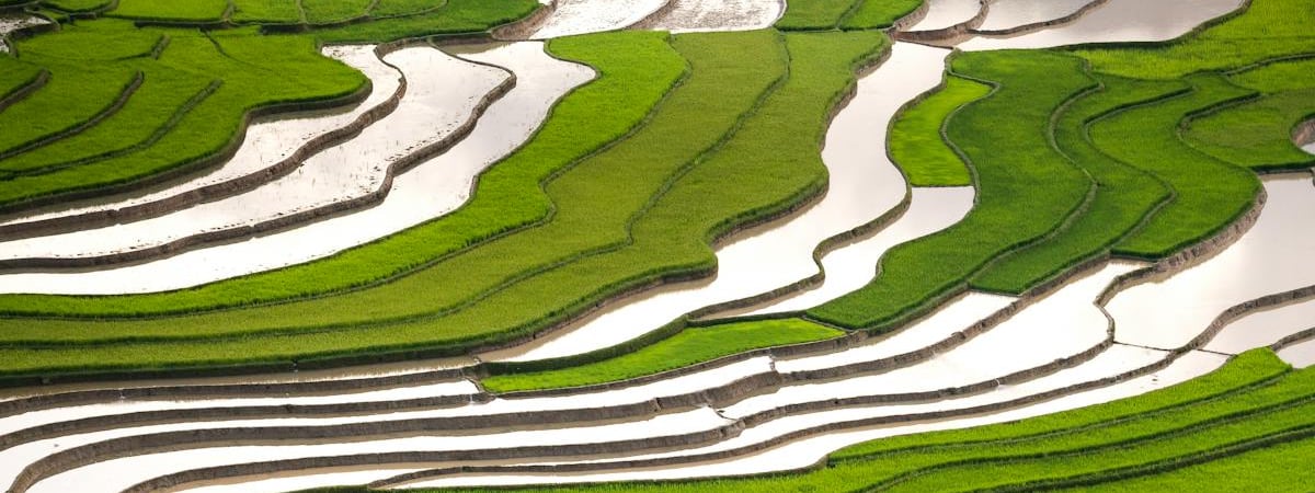 Польша усиливает контроль за границей для предотвращения "чрезмерного импорта"