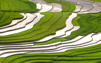 Польша усиливает контроль за границей для предотвращения "чрезмерного импорта"