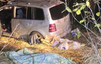 Лось стал причиной смертельного ДТП в Могилевском районе