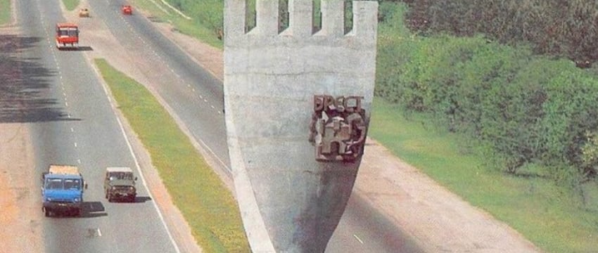 За последние 5 лет в Бресте высадили 134 397 деревьев и 45 911 кустарников