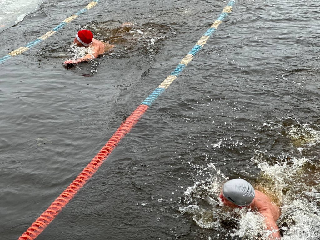 Зимний заплыв Бресте