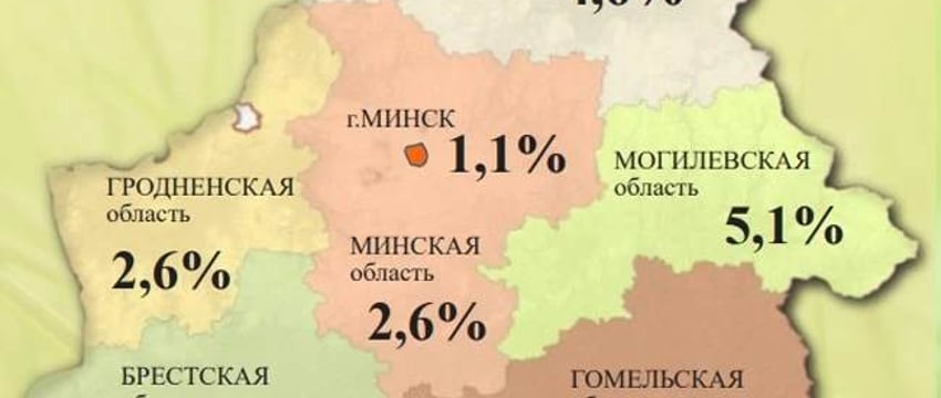 Белстат рассказал, в каком регионе больше всего малообеспеченных. Нет, это не Могилевская область