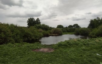 В Ляховичском районе в искусственном водоеме дети обнаружили боеприпасы