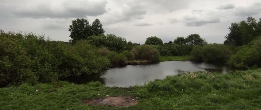 В Ляховичском районе в искусственном водоеме дети обнаружили боеприпасы