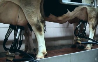 Потеря стажа и досрочная пенсия: история из Брестской области