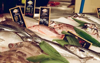 «Больше, чем $400 за полкилограмма» — в бобруйской инспекции природоохраны рассказали, сколько стоит рыба для браконьеров