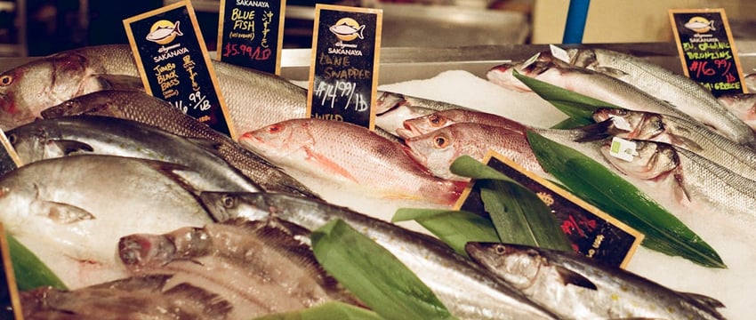 «Больше, чем $400 за полкилограмма» — в бобруйской инспекции природоохраны рассказали, сколько стоит рыба для браконьеров