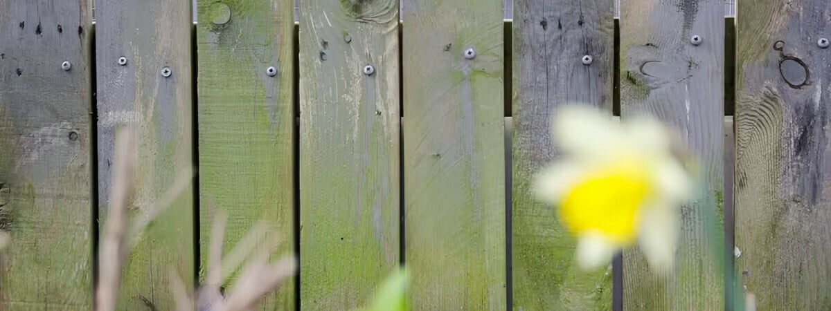 Как правильно очистить деревянный забор перед покраской? Вот простая инструкция — Полезно
