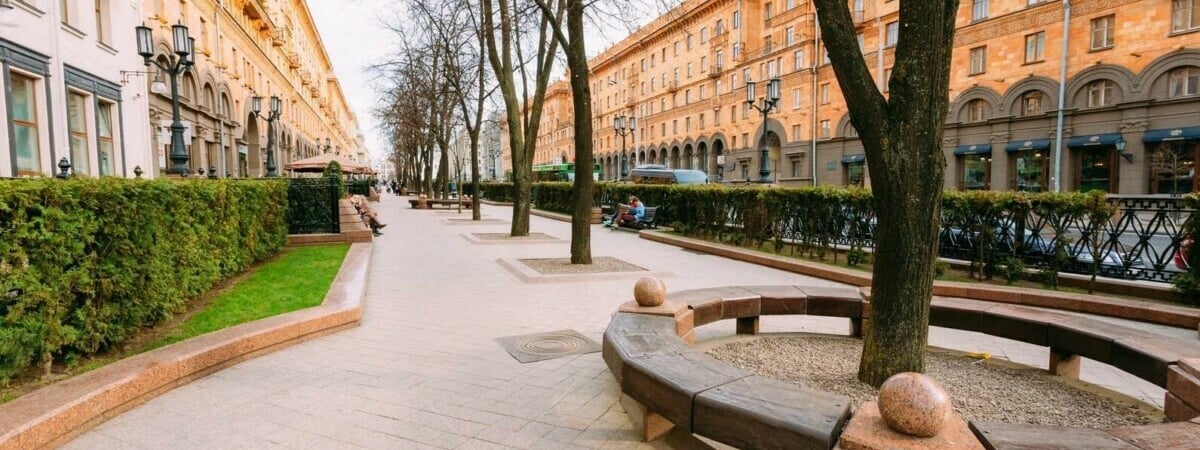 Белорусские ученые придумали, как защитить деревья от дорожной соли. И еще от стресса