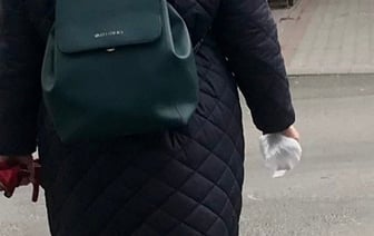 В Беларуси установлены новые требования к уборке за домашними питомцами при их выгуле