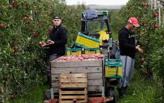 От польских яблок отказалась ещё одна страна