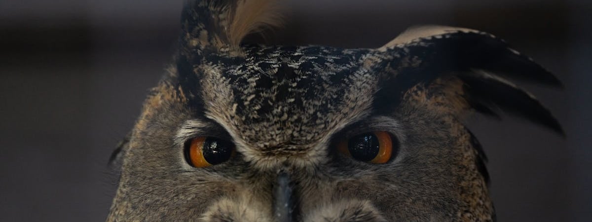 Банки Японии массово наращивают кредитование отраслей по производству чипов