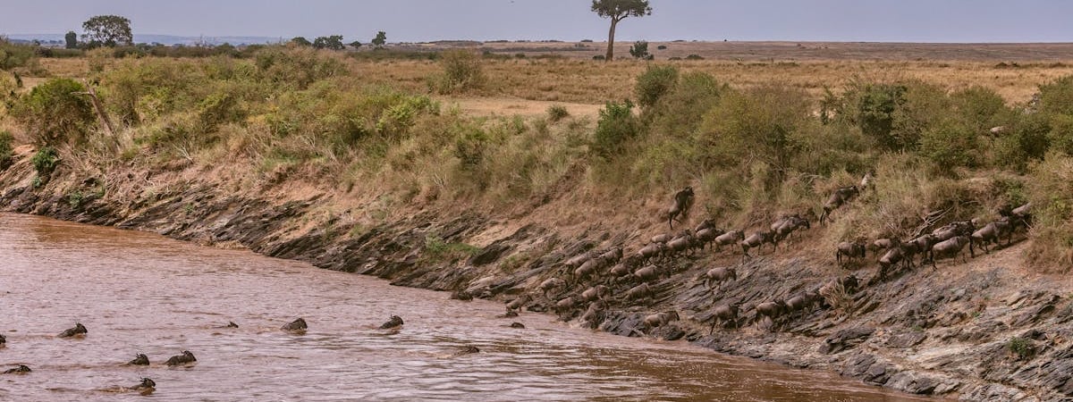 Зимбабве решило побороть гиперинфляцию новой денежной единицей