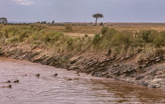 Зимбабве решило побороть гиперинфляцию новой денежной единицей