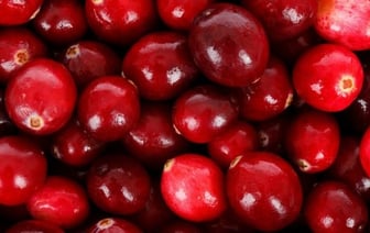 Под предлогом поставки пищевой продукции, житель Бреста обманным путем завладел крупной суммой денег