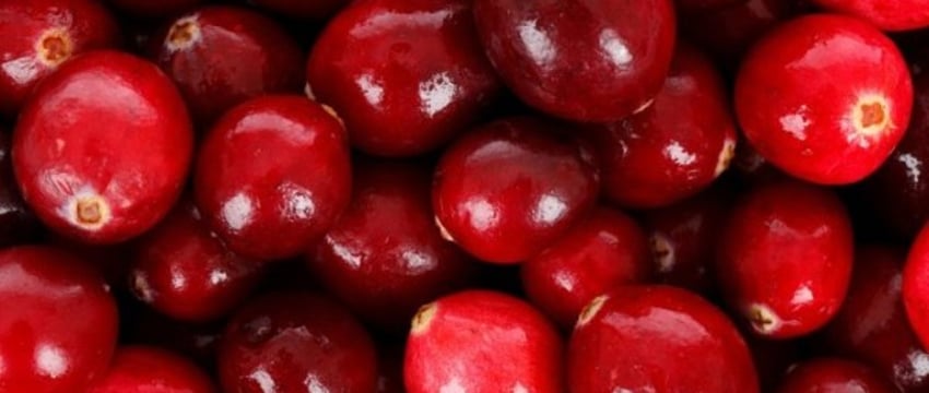 Под предлогом поставки пищевой продукции, житель Бреста обманным путем завладел крупной суммой денег