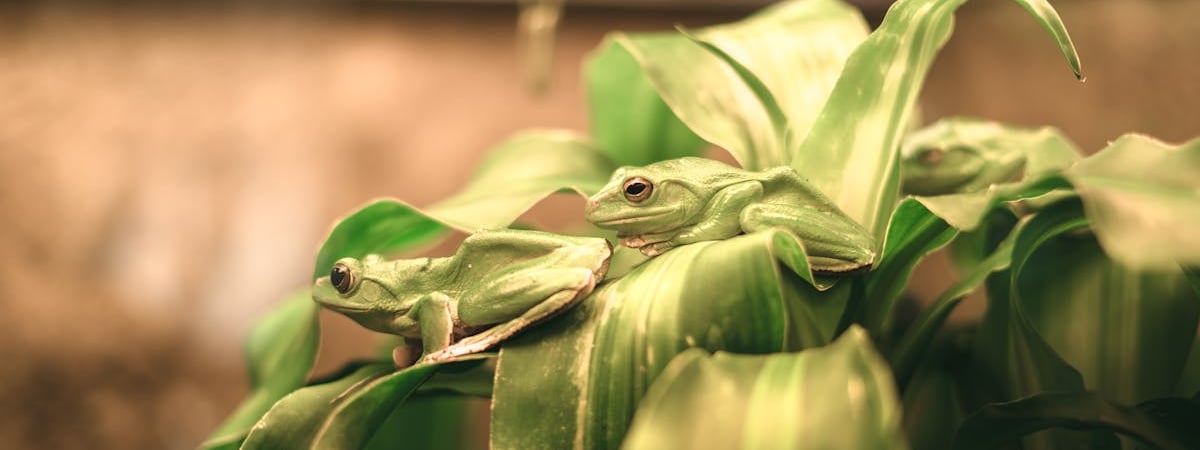 Президент Польши отказался от совместного фото на COP-29 из-за Лукашенко