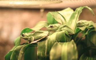 Президент Польши отказался от совместного фото на COP-29 из-за Лукашенко