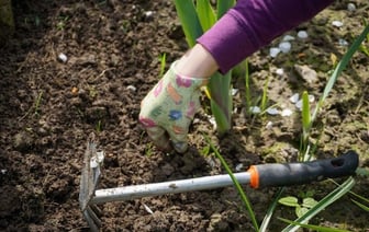 Почему белорусам весной нужно обязательно вычесать газон? В Ботаническом саду рассказали о важных работах для садоводов — Полезно