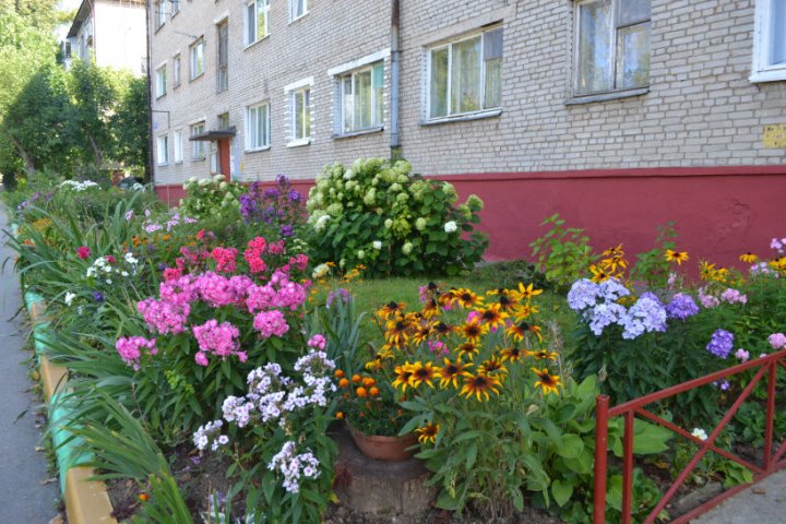 Фото из открытых источников (иллюстративное)