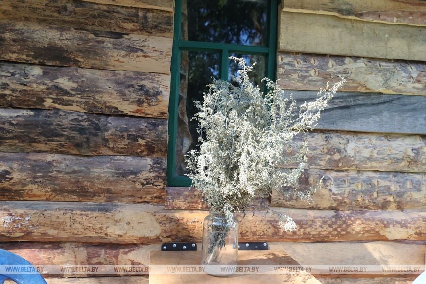 Как 12-летний белорус за 10 дней сам построил дом на даче