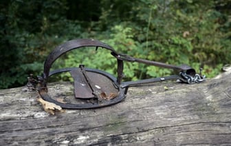 Белоруска распереживалась, что её кот угодит в соседский капкан. Адвокат рассказала, что ей стоило бы сделать