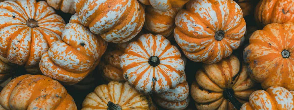 Минфин Армении готовит налоговую реформу для микробизнеса