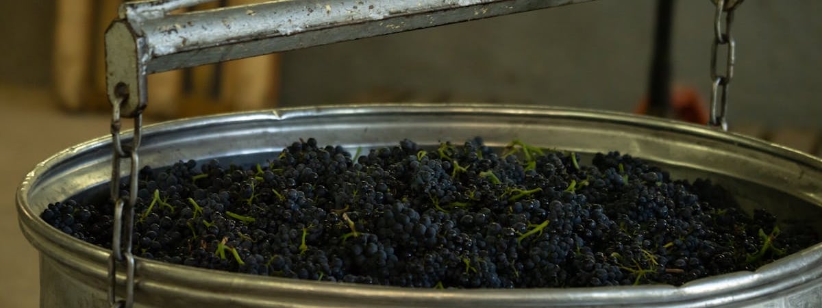 Минский завод объявил об отказе поставлять вина в Россию после требования писать на бутылках «не является вином»