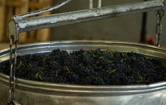 Минский завод объявил об отказе поставлять вина в Россию после требования писать на бутылках «не является вином»